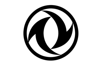 Dongfeng logo elettronauti